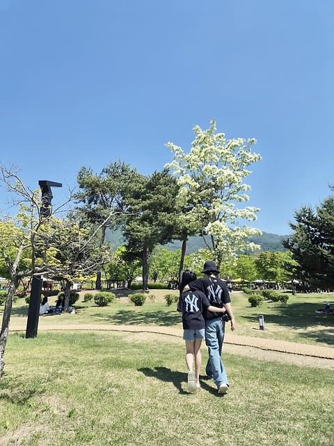 라임럽